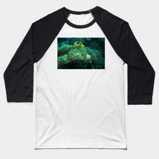 RED SEA MARINE LIFE Baseball T-Shirt